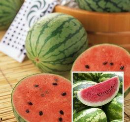 吃瓜能吃全吗,揭秘吃瓜界的全瓜奥秘