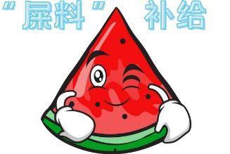 吃瓜现场完结,揭秘娱乐圈幕后真相，完结篇