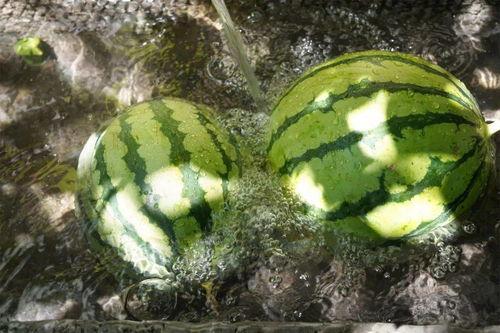 吃瓜往事,揭秘娱乐圈那些不为人知的幕后故事