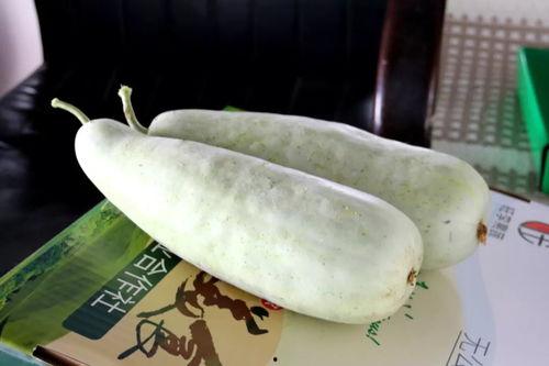 洋瓜条怎么吃,创意烹饪指南