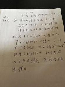 吃瓜被误伤词语,揭秘网络舆论的暗流涌动