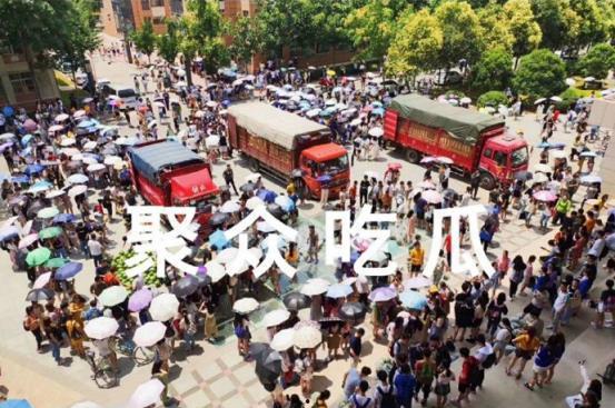 吃瓜外国语学校,多元文化碰撞下的语言乐园