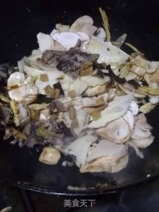 快乐吃瓜菌,揭秘娱乐圈幕后趣闻，带你畅游娱乐世界