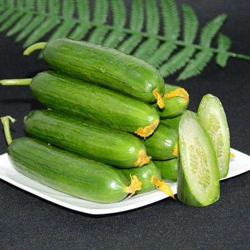 刺小瓜怎么吃,探索美味新境界