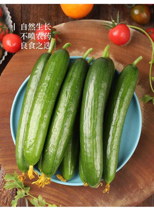 刺小瓜怎么吃,探索美味新境界