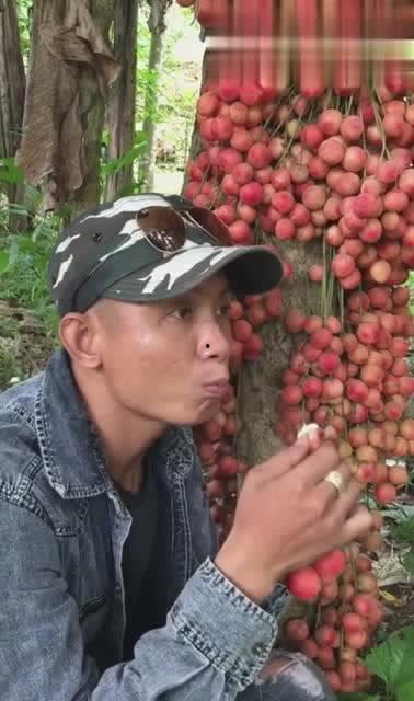 莒县红衣哥吃瓜,一场网络热议的幕后真相