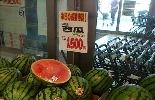 中国不缺吃瓜的