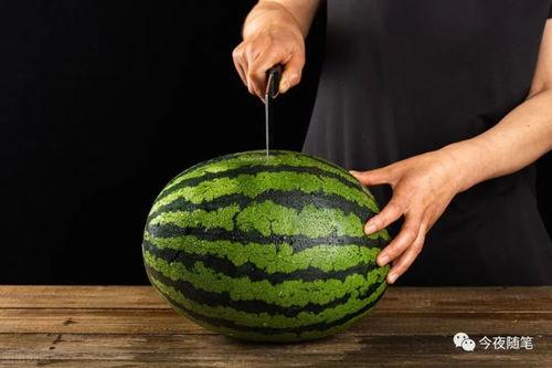 中国不缺吃瓜的