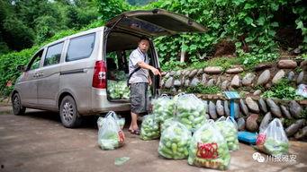 吃瓜汽车过坑,见证非凡驾驭之旅