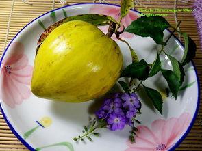 仙桃的吃瓜,探寻夏日消暑美食之旅