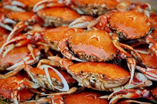 河蟹吃瓜吗,一场跨界美食的奇妙邂逅