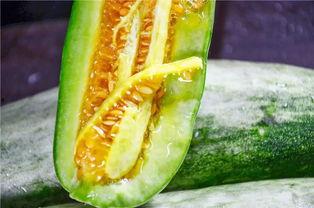 吃瓜呢网红,揭秘网络红人的幕后生活