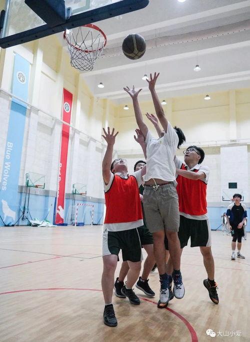 冰舞吃瓜,揭秘冰舞界背后的吃瓜故事