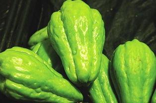 道具吃瓜惊喜,道具背后的趣味与智慧