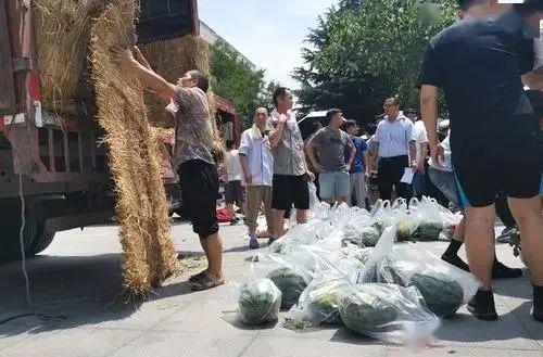 当代高校吃瓜,揭秘当代校园“吃瓜”现象