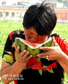 吃瓜视频老太太,老太太的幽默日常，笑料百出引人捧腹