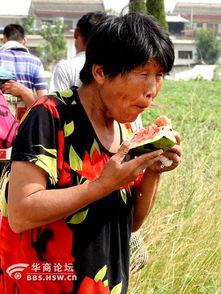 吃瓜视频老太太,老太太的幽默日常，笑料百出引人捧腹