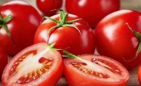 给林小瓜吃番茄的视频,萌态十足