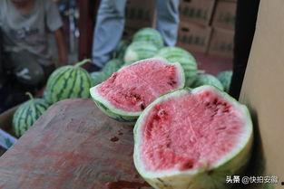 瓜哥吃10斤肥肉视频