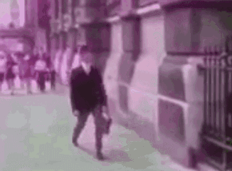 带你吃瓜奇葩搞笑视频,笑料百出！带你领略“带你吃瓜”搞笑视频的欢乐盛宴